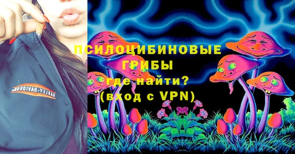 прущие грибы Каменногорск